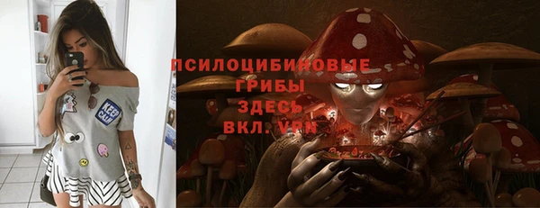 стафф Волоколамск