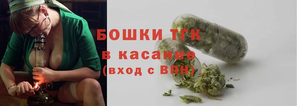 индика Верхнеуральск